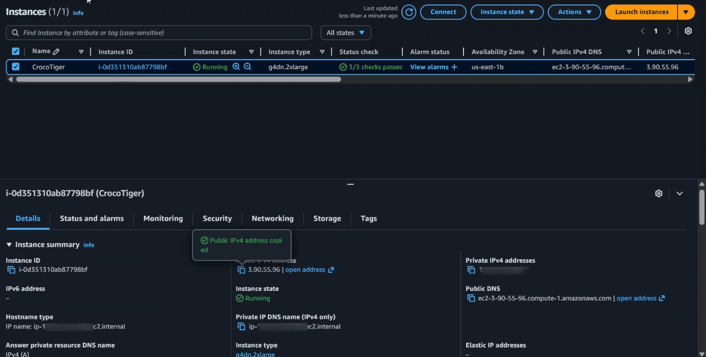 Screenshot 1 for Instance public IP